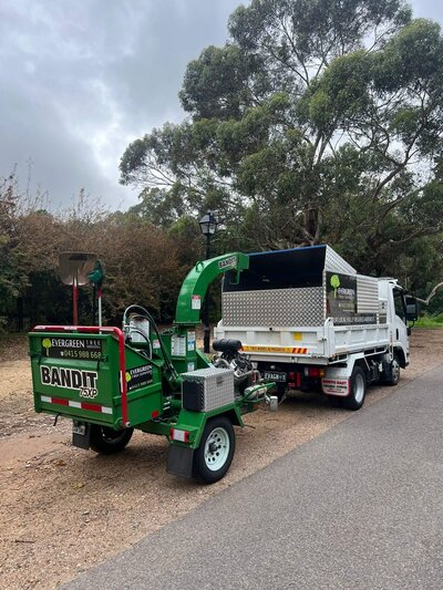 Professional tree service equipment