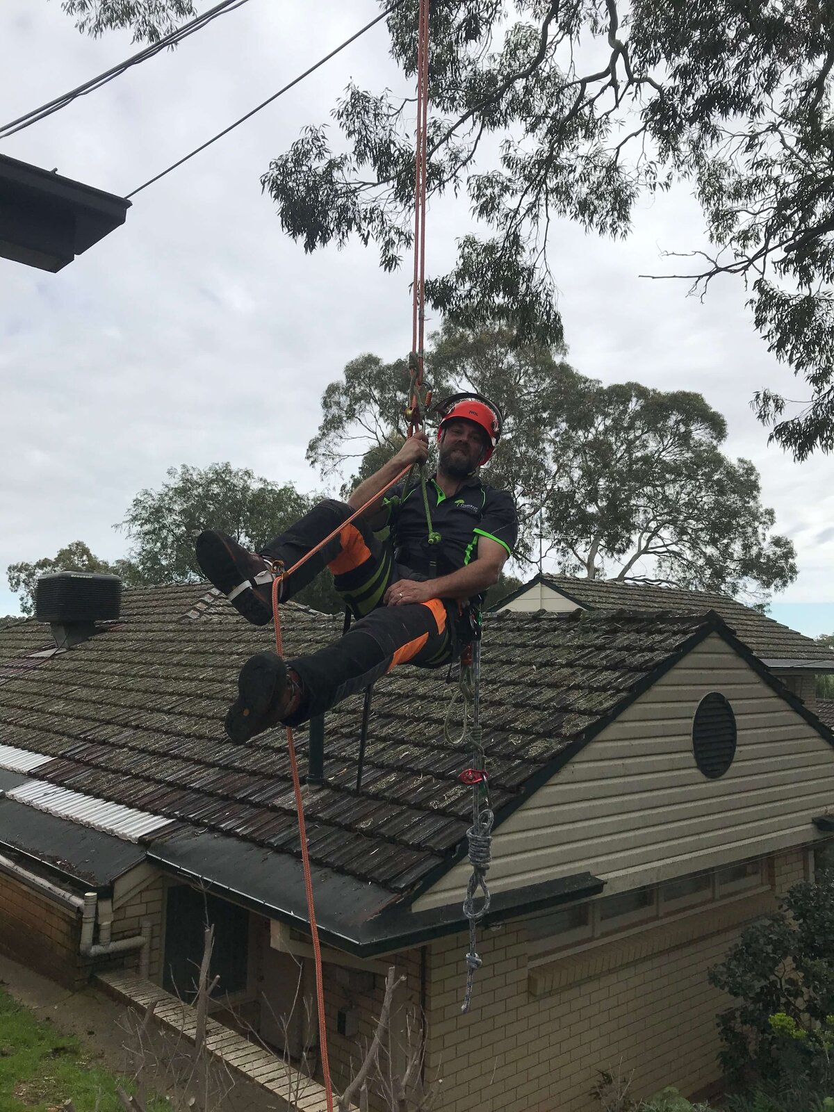 Tree care services