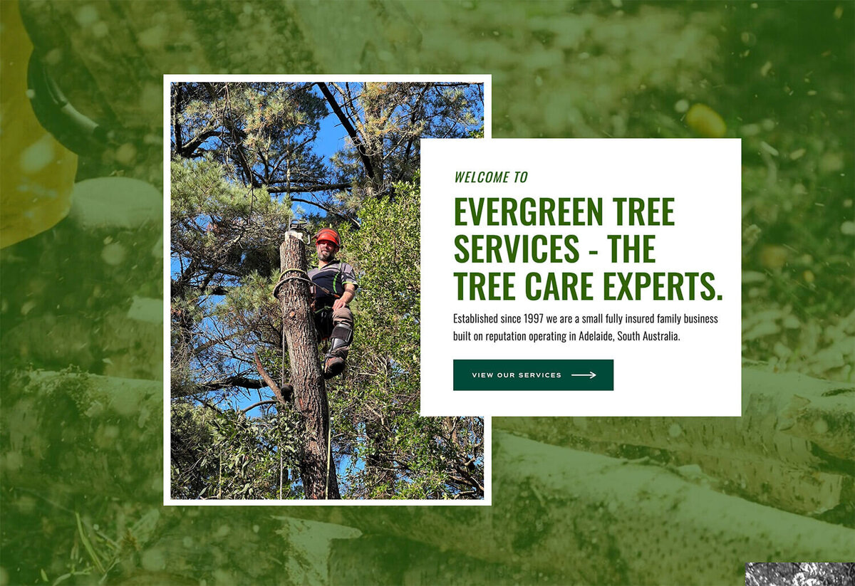 Tree services in Adelaide