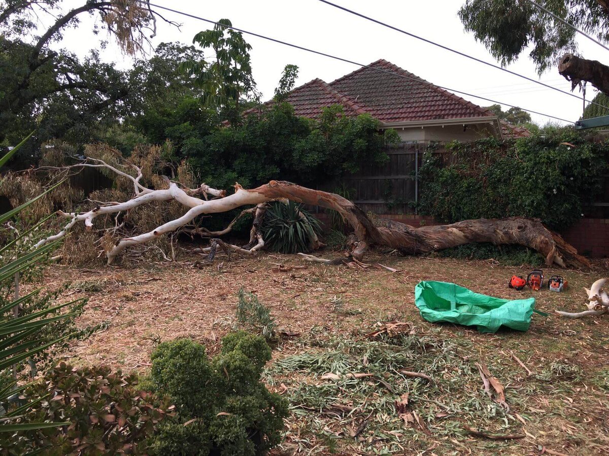 Storm Damage