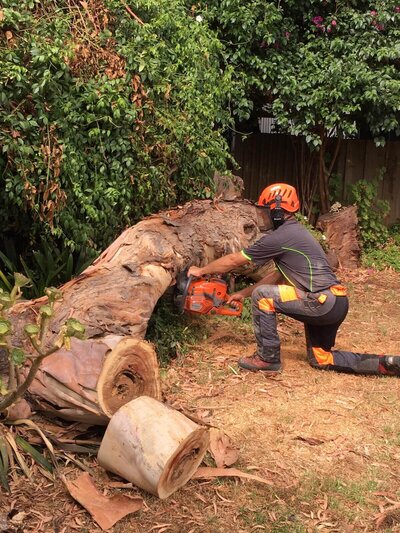 Terry handling storm damage