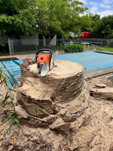 Stump Grinding