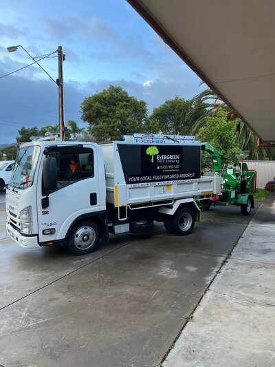 Evergreen Tree Services vehicles